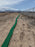 Silt Snake - 8" x 200'