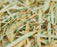 Western Green - Excel SR-1 Rapid Go -  Straw Single Net - 8' x 112.5'