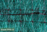 Western Green - Excel PP5-12 - Double Net TRM - 8' x 112.5'