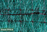 Western Green - Excel PP5-8 - Double Net TRM - 8' x 112.5'