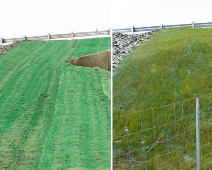 Curlex I - Erosion Control Blanket - 8' x 112.5' Green