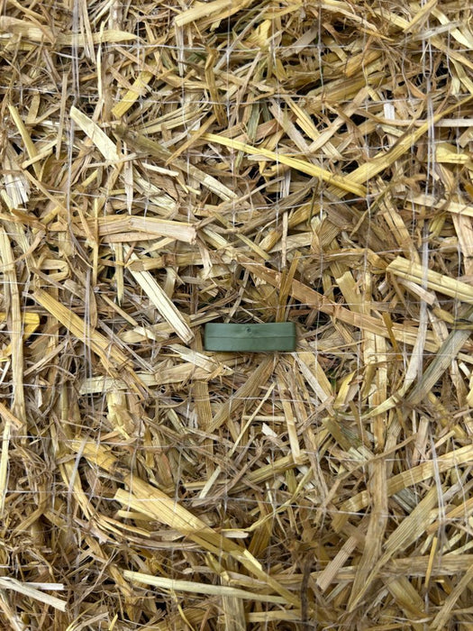 6" Biodegradable Stakes (Qty: 500)