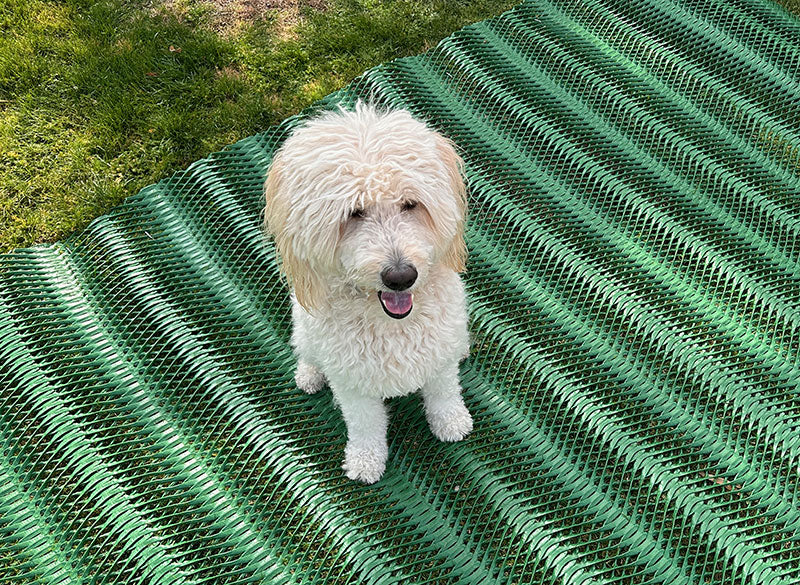 Grass Protection Mats