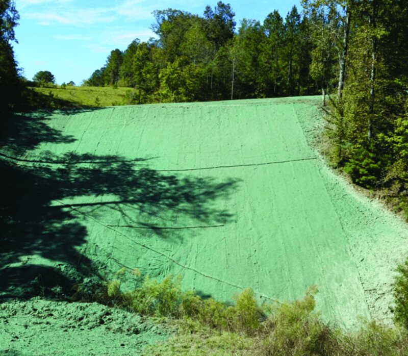 Vegetation established through Enkamat R45 turf reinforcement mat on a dry slope
