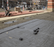 EnkaDrain 3811R - Drainage Mat