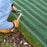 Grass Protection Mesh – ADA Compliant