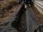 Worker wrapping non-woven geotextile drainage fabric over a gravel foundation French drain
