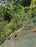 Pyramat erosion control mat on a steep slope
