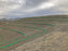 Curved silt socks installed as slope interruption rows on a large graded hillside
