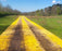 XtremeMat mats used as a temporary road
