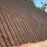 Steep Slope Erosion Control Mat