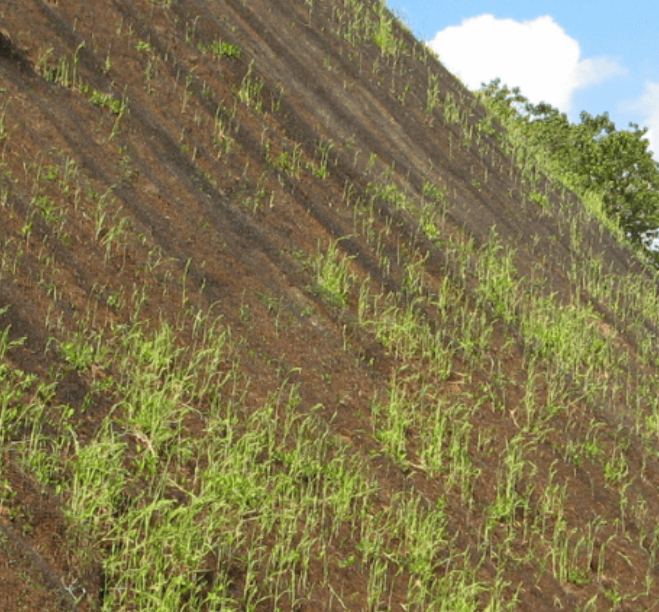 Geomat Soil Stabilization Grid - 8' x 169'