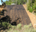 Geomat Soil Stabilization Grid - 8' x 169'