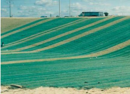 Curlex I Fibrenet - Biodegradable ECB 
