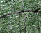 Maryland MDOT - 920.05.01(b) - Type B SSM Erosion Control Blanket - 8' x 140' - LL435-8
